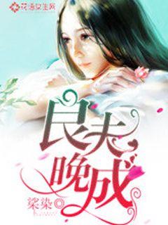 良婚未晚小说免费阅读